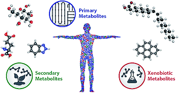 Types of Metabolites