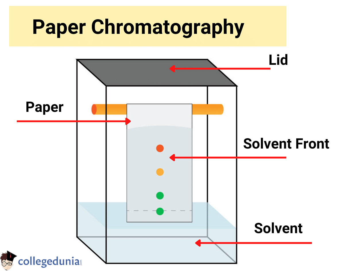 Paper Chromatography Diagram