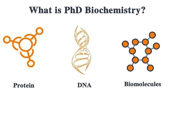 phd biochemistry requirements