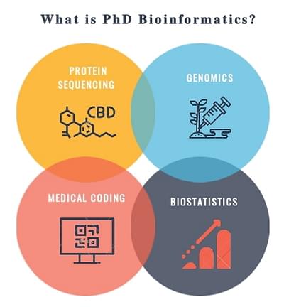 phd bioinformatics jobs