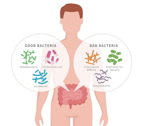 Eubacteria in Humans