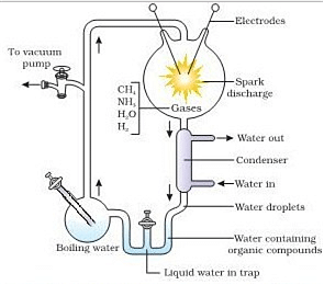 Miller Urey Experiment Diagram