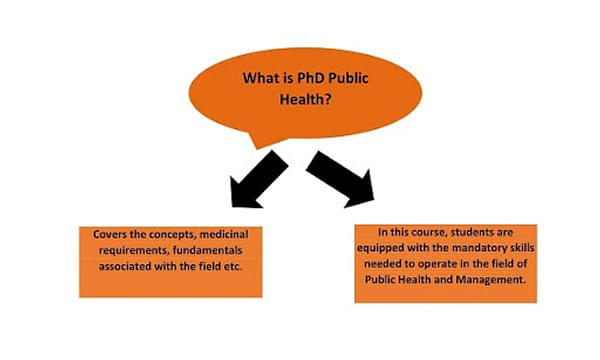 public health phd distance learning