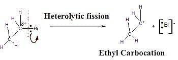 Homolytic And Heterolytic Fission Definitions Examples Differences Solved Examples