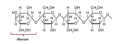 cellulose structure