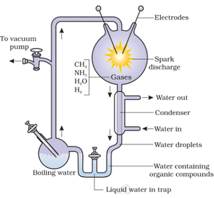 Miller Urey Experiment: Apparatus and Procedure