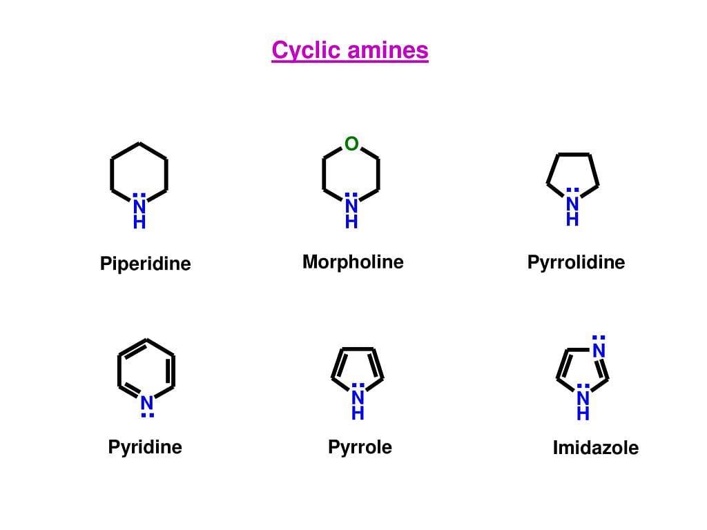 amine structure