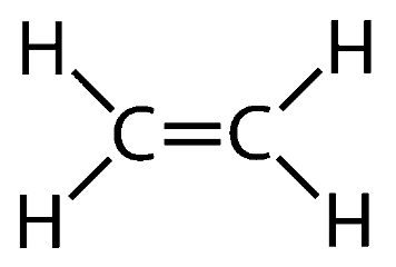 Chemical Properties of Alkenes: Ozonolysis and Addition Reactions