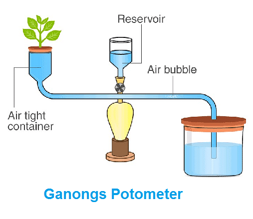 Fig. Ganongs Potometer