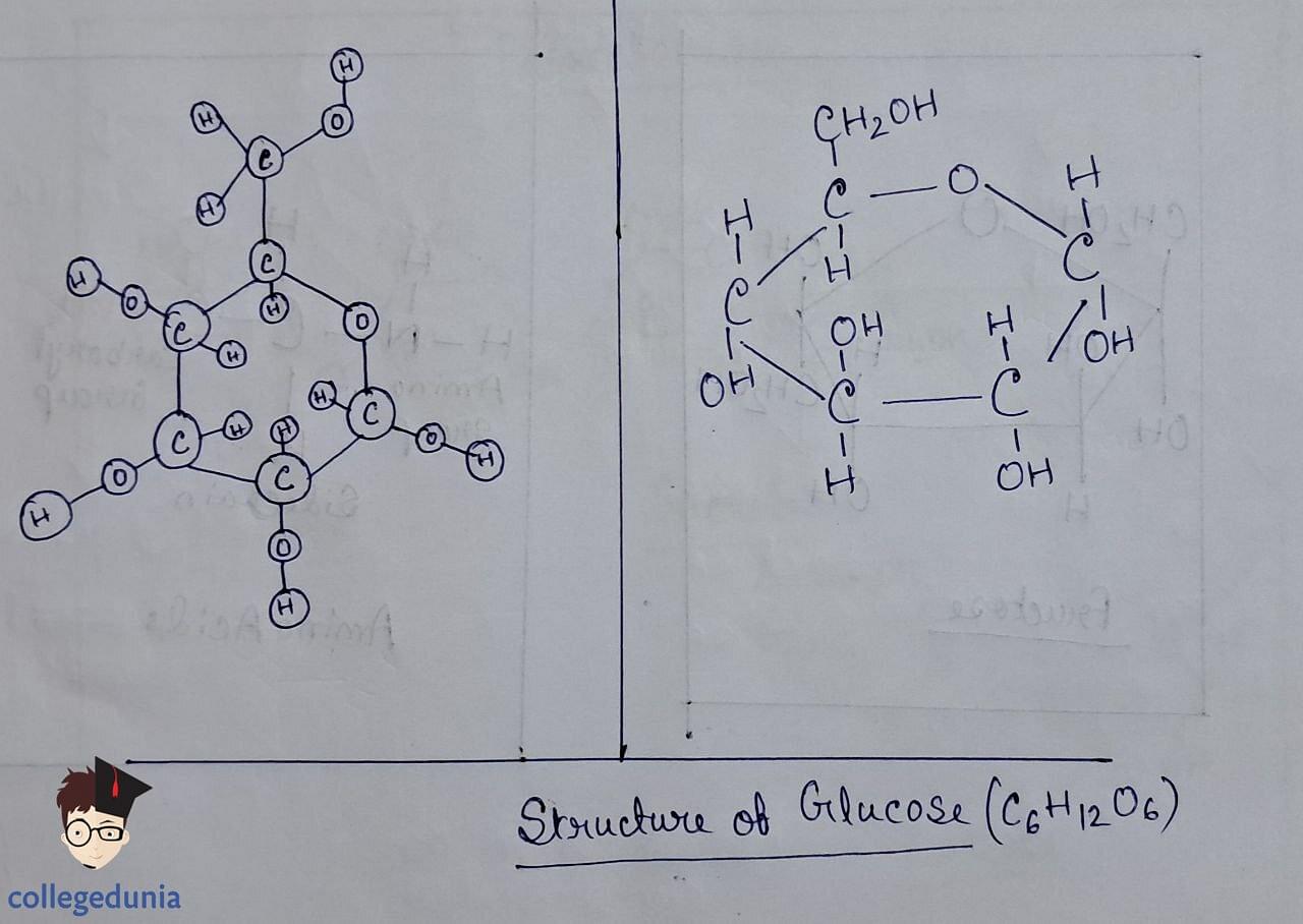 Glucose