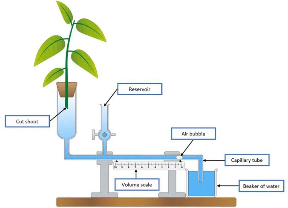 Fig. Water Uptake Measurement Procedure