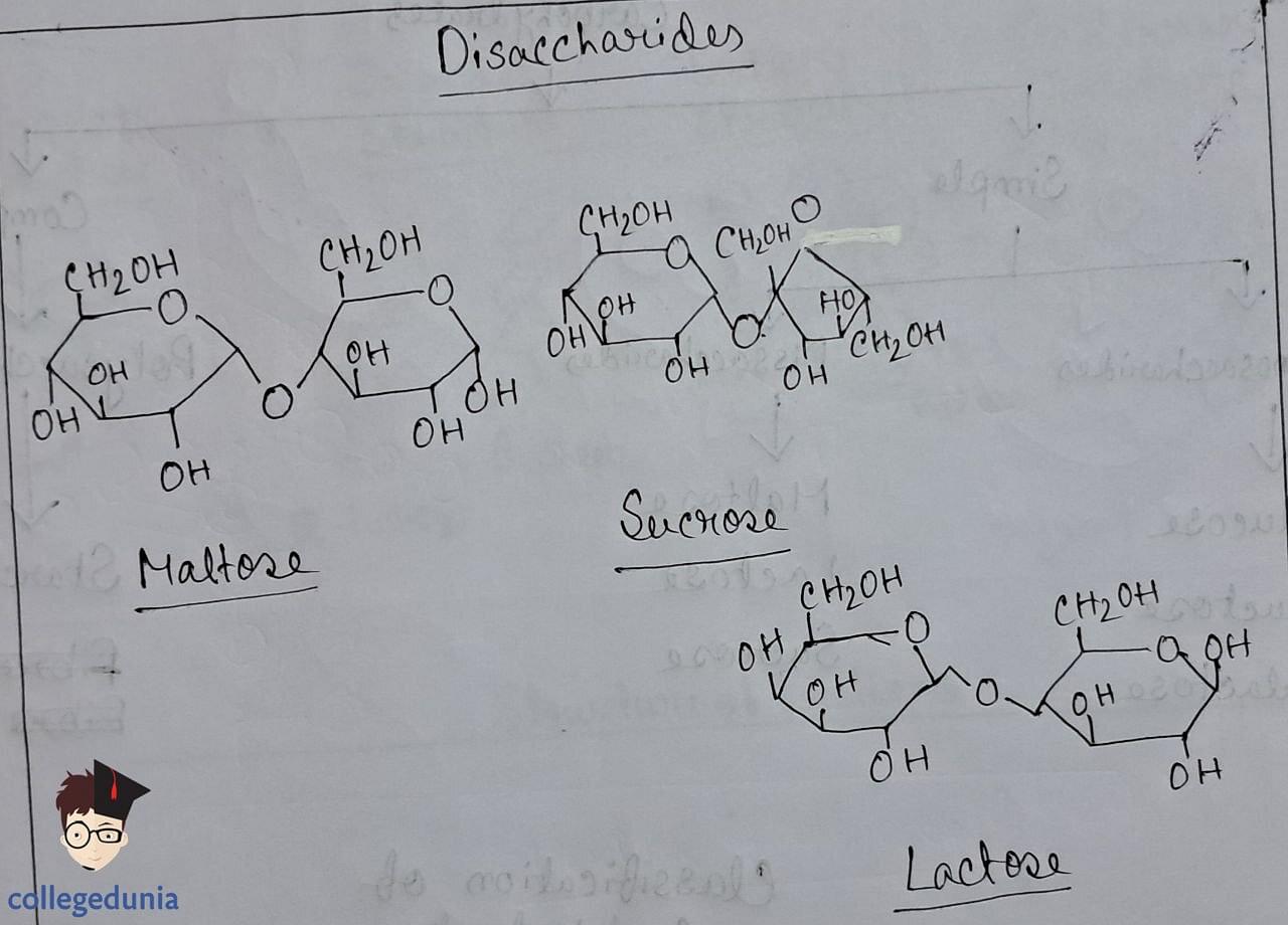 Disaccharides