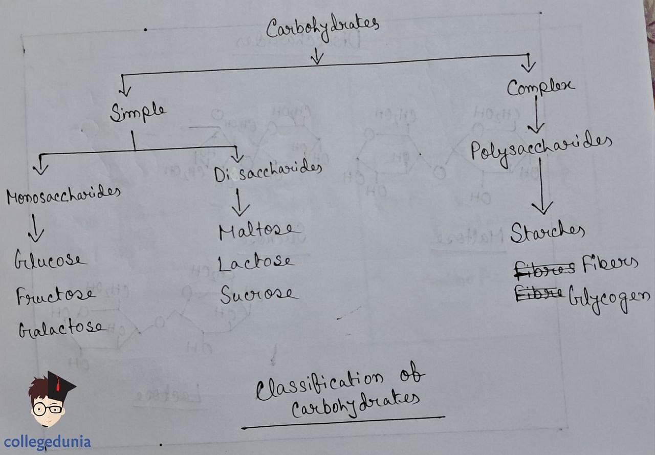 Classification of Carbohydrates