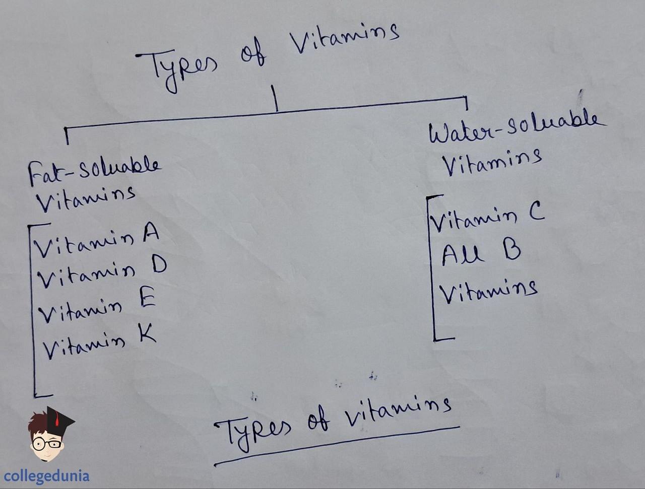 Types of vitamins