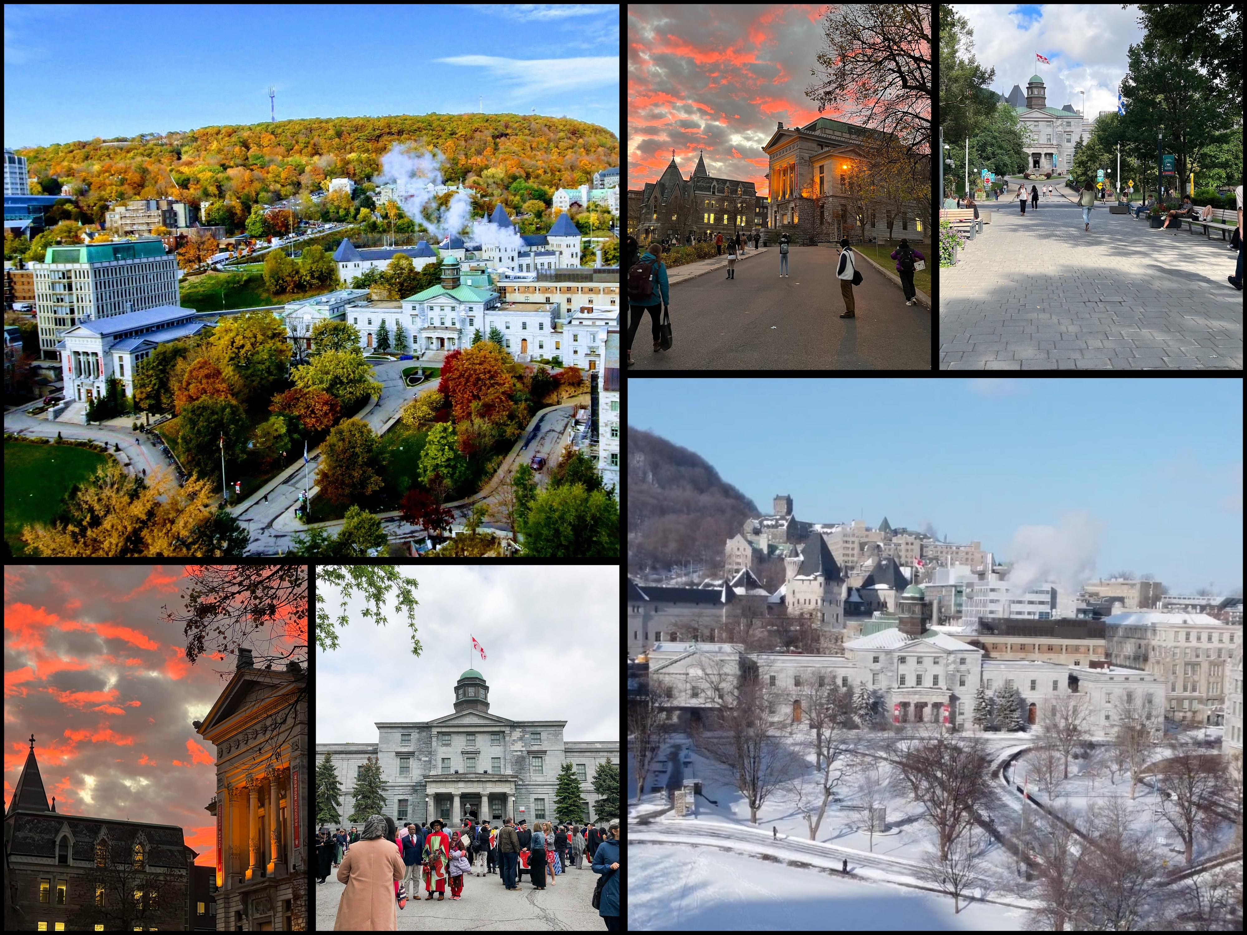 McGill University Rankings, Courses, Fees, Admissions 2024, Cost