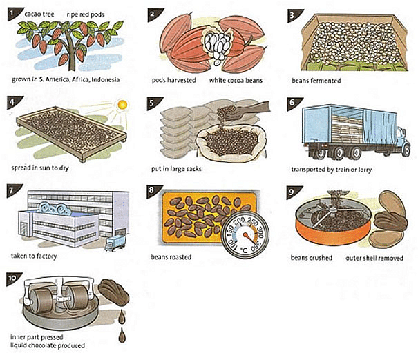 illustrations-show-how-chocolate-is-produced-ielts-writing-task-1