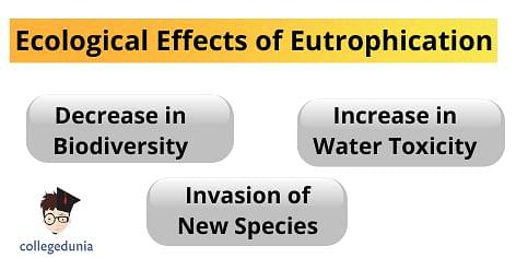 Eutrophication, Definition, Types, Causes, & Effects