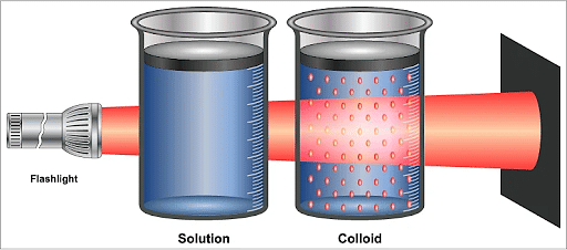 suspension vs colloid vs solution