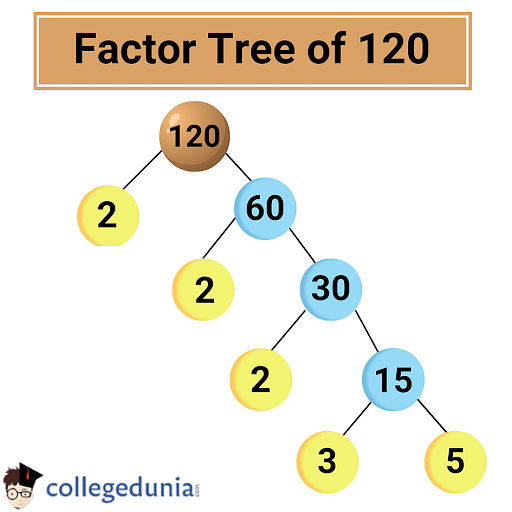 Factors of 120: Prime Factorization & Factor Tree of 120