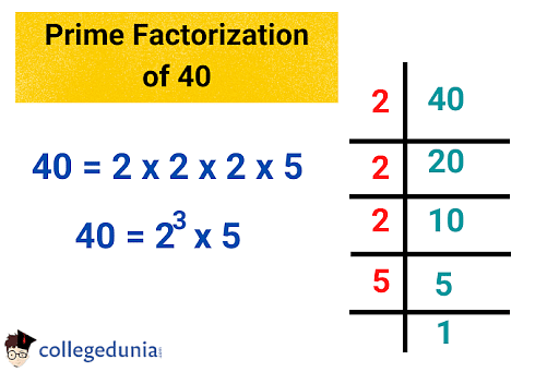 Factors of 40: Prime Factors & Factor Pairs of 40