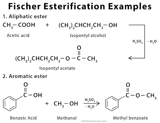 Fischer Esterification Mechanism Meaning Applications Solved Examples
