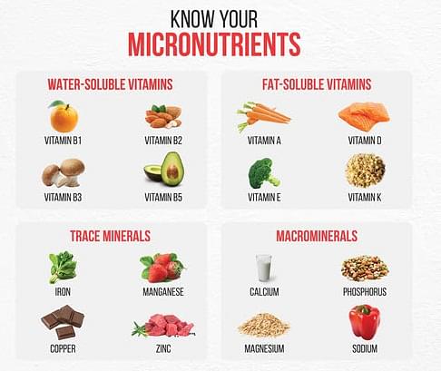 Nutrients: Meaning, Types, Importance & Functions