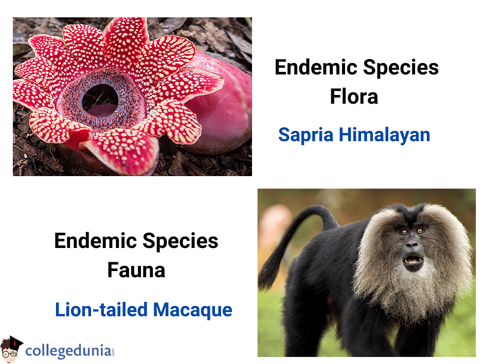 endemic species with names