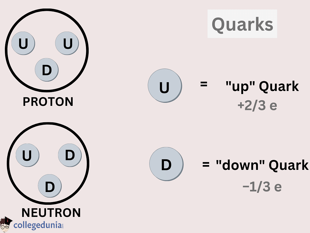 What is Quark? - Definition, Meaning, Types, Model, Example