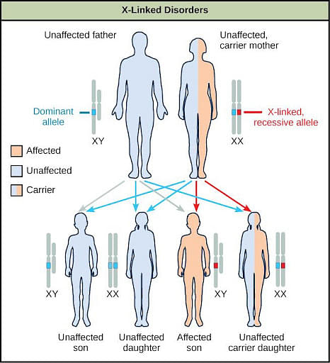 genetic-disorders-types-causes-examples