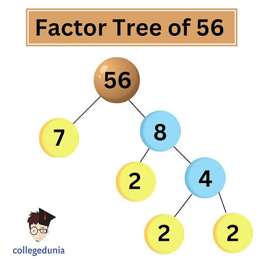 Factors of 56: Prime Factorization, Pair Factors & Prime Factors