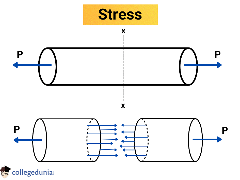 Stress and Strain Definition Stress-Strain Curve amp Hooke39s Law