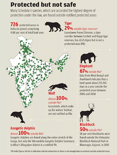 Endangered Species: Definition, Factors and Sample questions