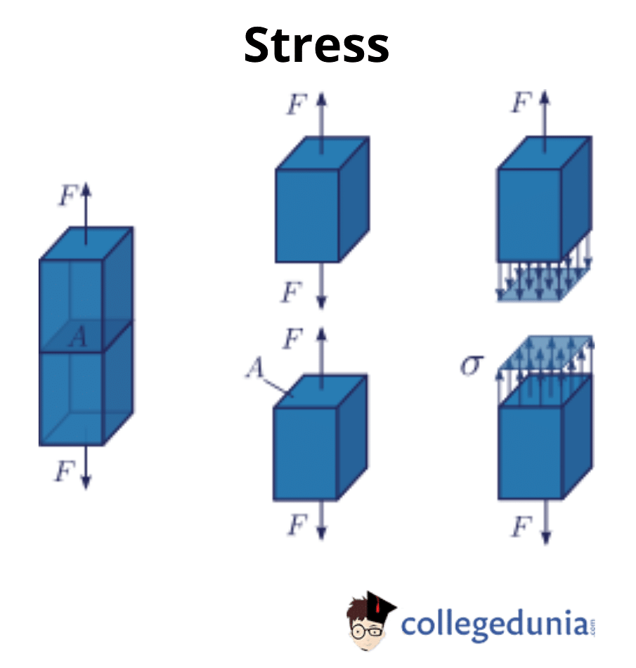 Stress in Physics Definitions Examples History Stress Units Types  Stress Formula Hooke39s Law and Applications  CollegeSearch