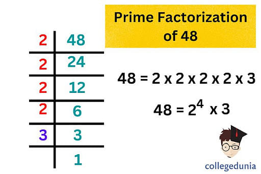 Factors of 48: Prime Factorization, Pair Factors & Examples
