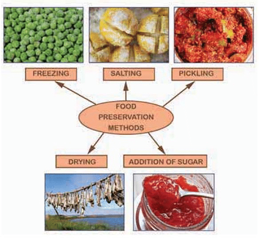 Food Preservation Methods