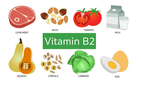 riboflavin food sources