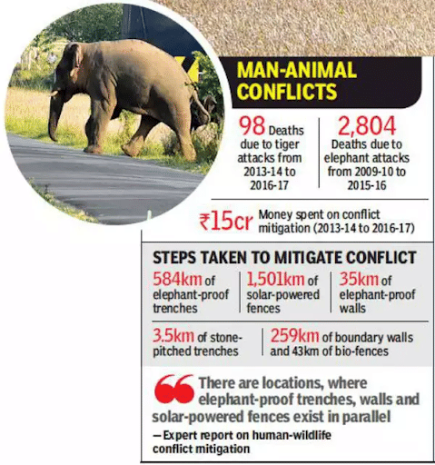 Man-Animal Conflict