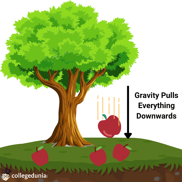 gravitational force examples