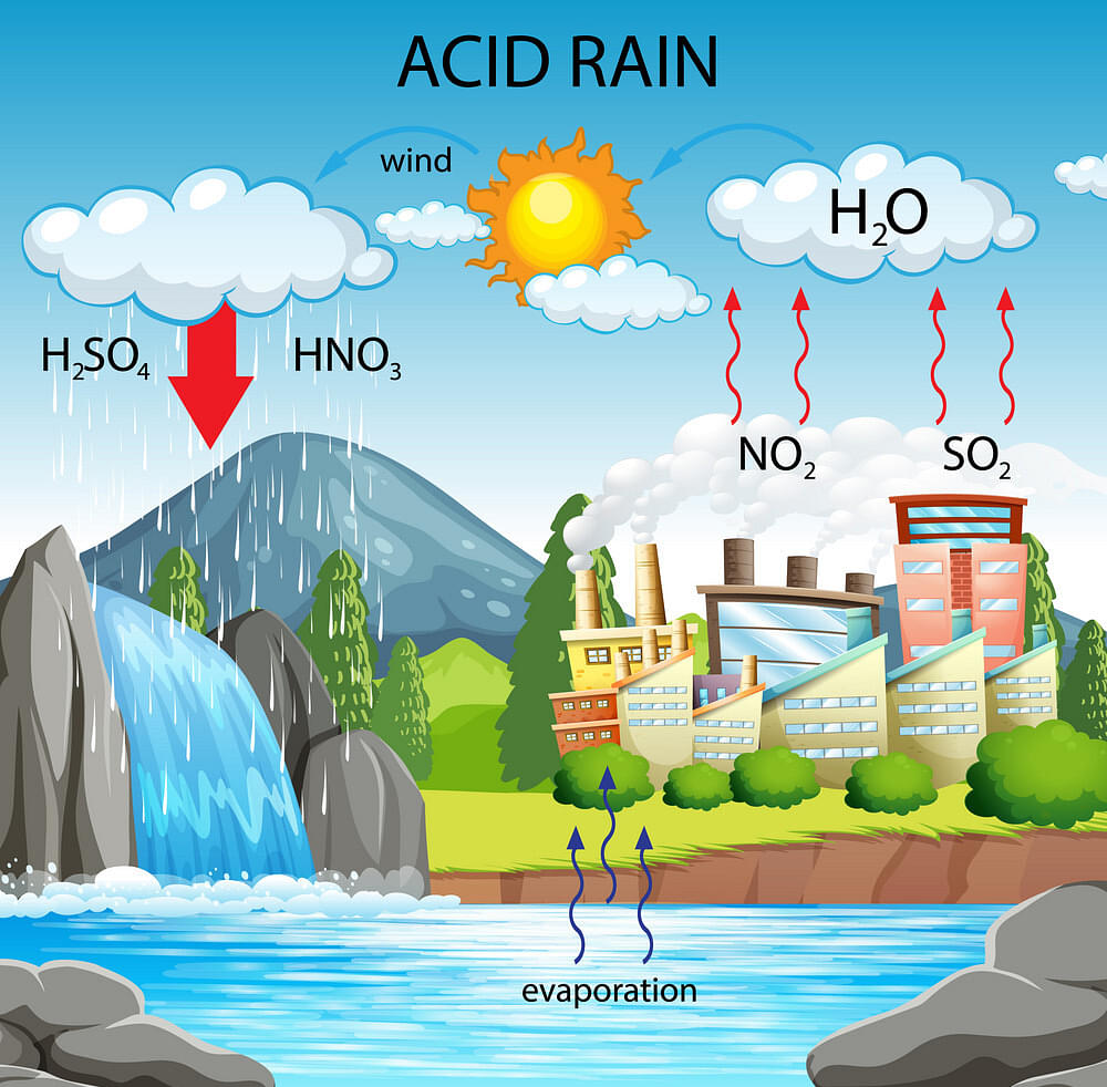 Acid Rain Causes Forms Prevention And Sample Questions