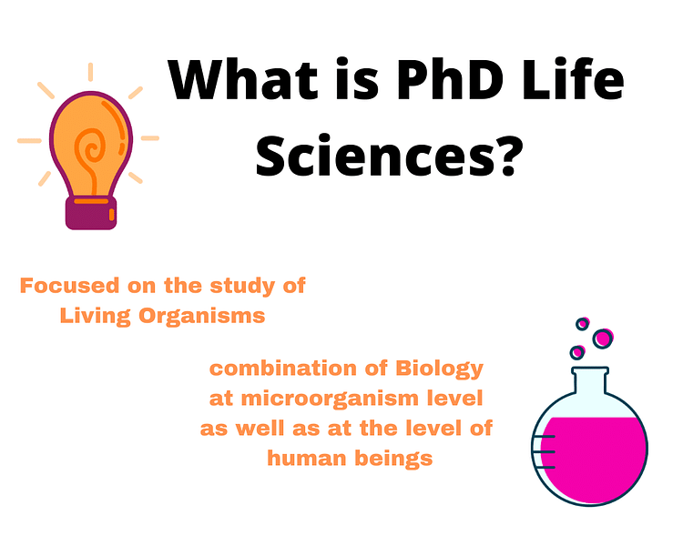 phd in life science