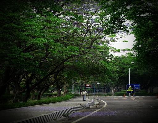 Delhi Technological university