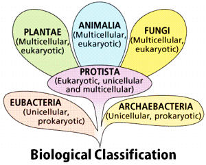 Biological Classification