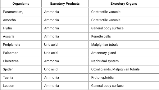 Excretory Products in Different Organisms