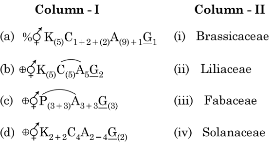 Match Column - I with Column - II.