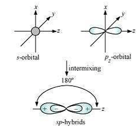 What is meant by hybridisation of atomic orbitals? Describe the shapes ...