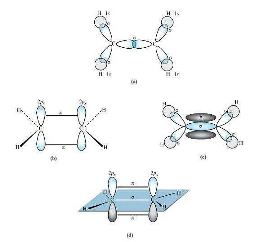 Draw diagrams showing the formation of a double bond and a triple bond ...