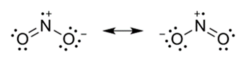 The oxide which contains an odd electron at the nitrogen atom is