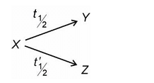 radioactive nuclei X decays