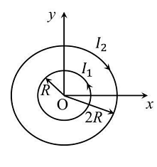 Two concentric circular loops