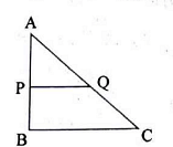 AP=3 cm, BP=2 cm